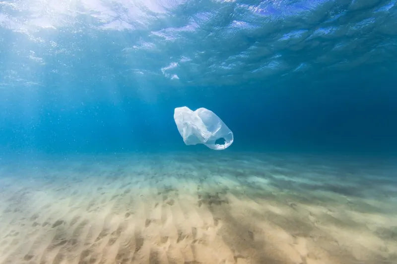 A Plastic Bag Floating In the Ocean